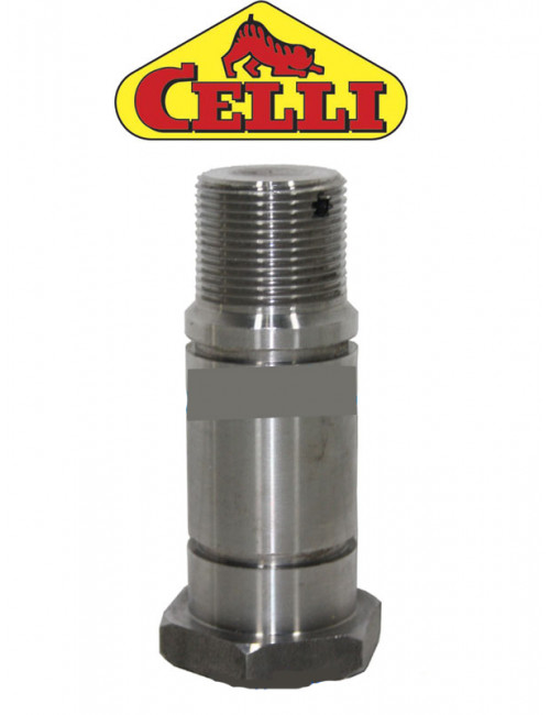 Perno centrale E-FE Celli - cod 423538