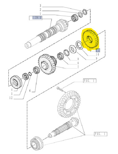 ingranaggio ruotismi 43 denti New Holland cod 87384791