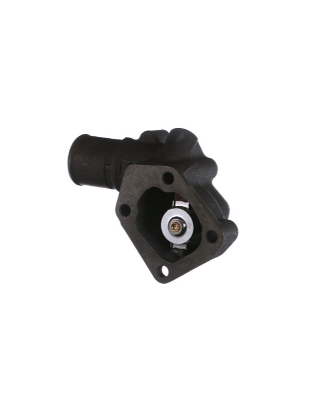 termostato completo di supporto New Holland cod 504221036