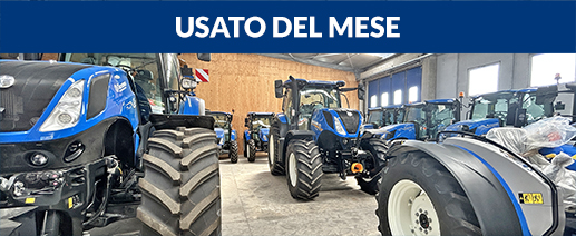 Usato del mese